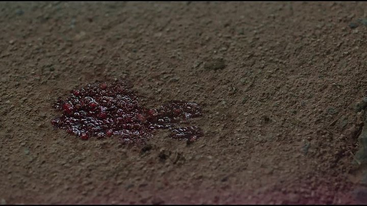 ⁣No Tail to Tell S01E12 Love Without Regret 1080p NF WEB-DL AAC2 0 H 264-playWEB