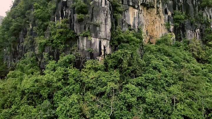 ⁣Nature S44E09 Parenthood Jungles 720p x264-FENiX