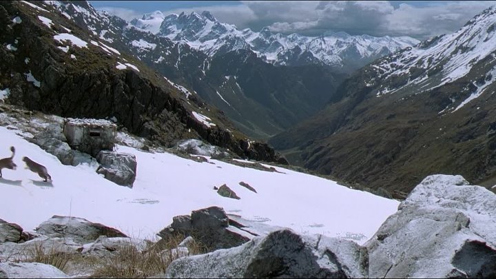 ⁣Vertical Limit 2000 1080p BluRay x264-OFT