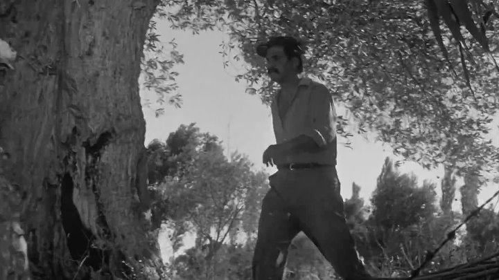 ⁣Dry Summer (1963) CRITERION 1080p H264 BluRay -RUS -