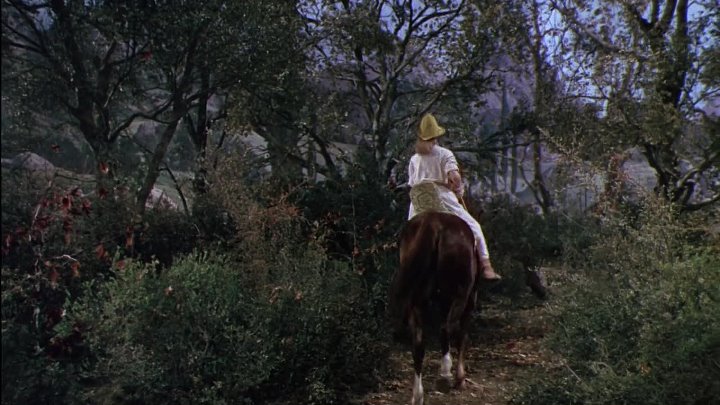 ⁣The Flame And The Arrow (1950) 1080p AMZN WEB-DL H264 -ENG -RARBG