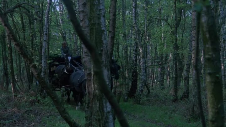 ⁣Scars Of Dracula 1970 1080p BluRay x264-[YTS AM]