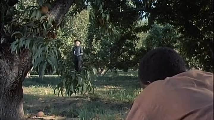 ⁣The Big Valley [S03E15] - The Buffalo Man