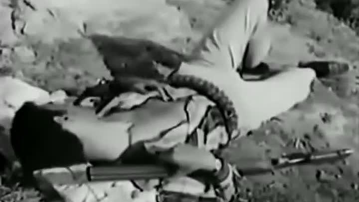 ⁣Üçünüzü De Mıhlarım (1965) 480p WEBRİp x264 -TR -YILMAZ GÜNEY