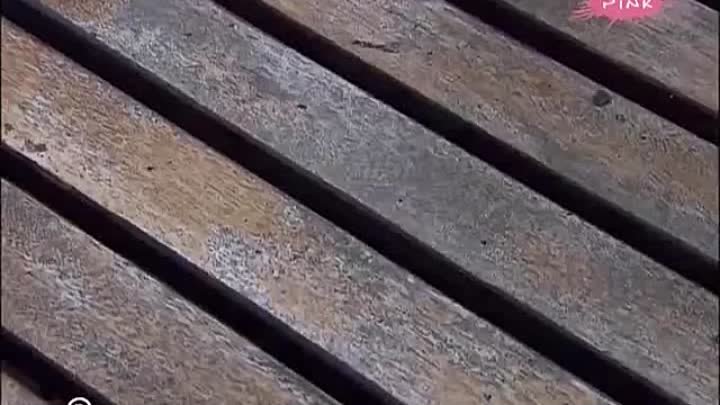 Miris proleća E05_480