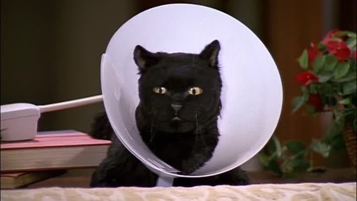 ⁣Sabrina Teenage Witch S03E02