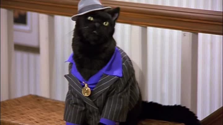 ⁣Sabrina Teenage Witch S03E07