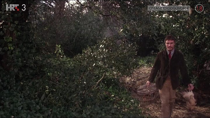 ⁣Lady Chatterley's Lover 1981