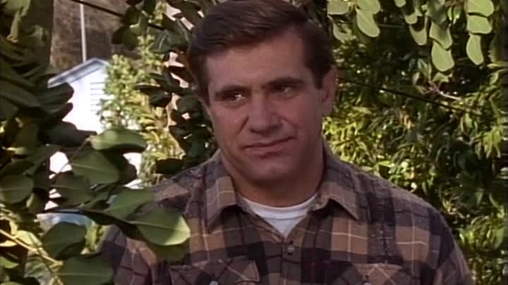 ⁣The Wonder Years [S03E15] The Tree House