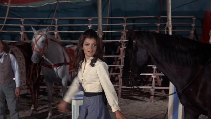 ⁣Black Beauty (1971) (1080p)🌻 Animation & Family Movies