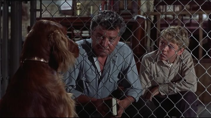 ⁣Big Red (1962) (1080p) +subtitle
