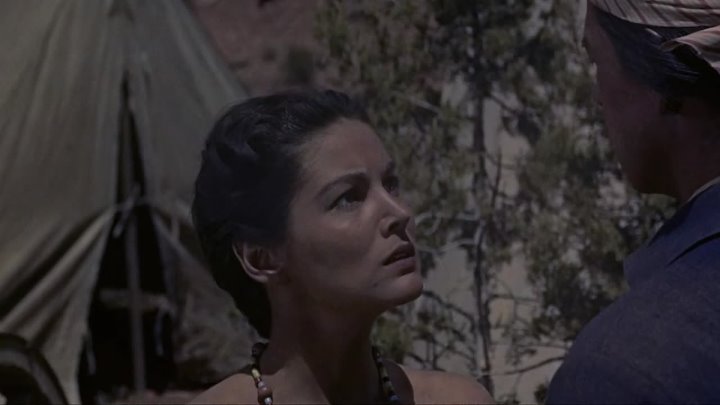 ⁣Fort Yuma (1955) (720p)🌻 Westerns