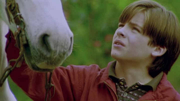 ⁣Nico The Unicorn (1998) (1080p)🌻 Animation & Family Movies