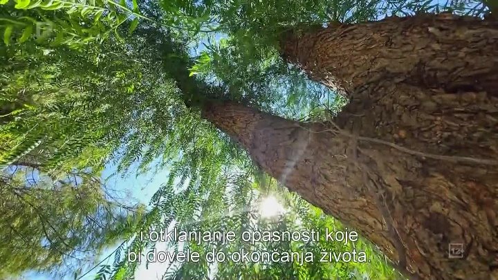 14_Islam i epidemijske bolesti