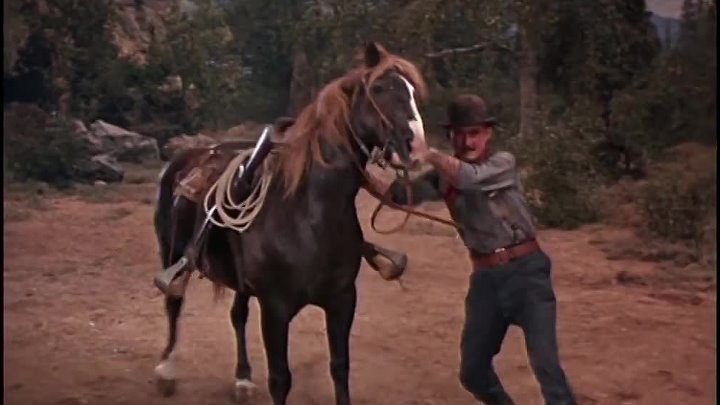 ⁣Bonanza (1961) [S3E09] The Countess