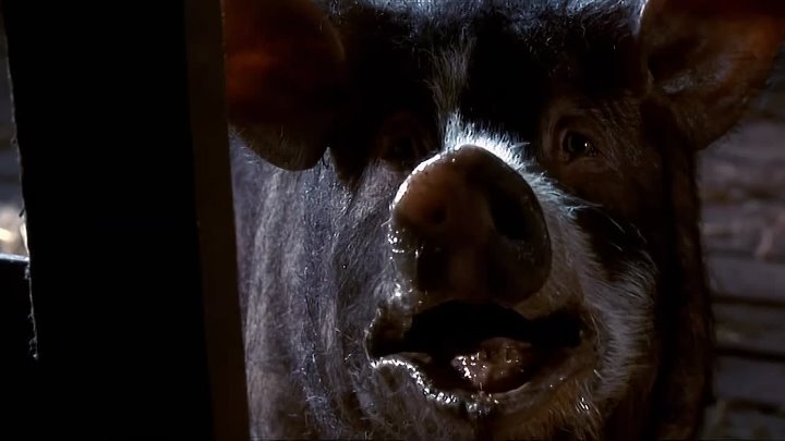 ⁣Animal Farm (1999) (720p)🌻 Tv Movies & Series