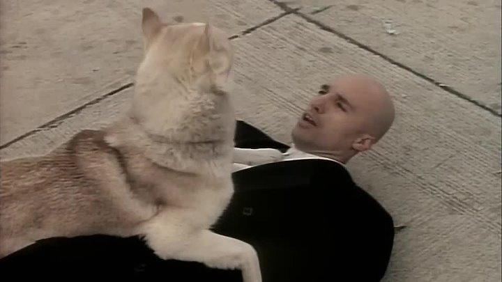 ⁣Due South - S01E09 - A Cop, a Mountie and a Baby