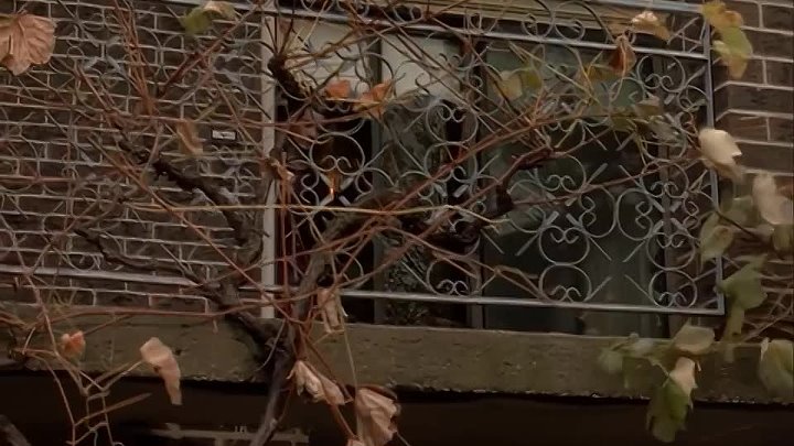 ⁣Due South - S04E09 - A Likely Story