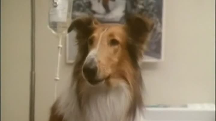 ⁣St Elsewhere S05E17 Schwarzwald