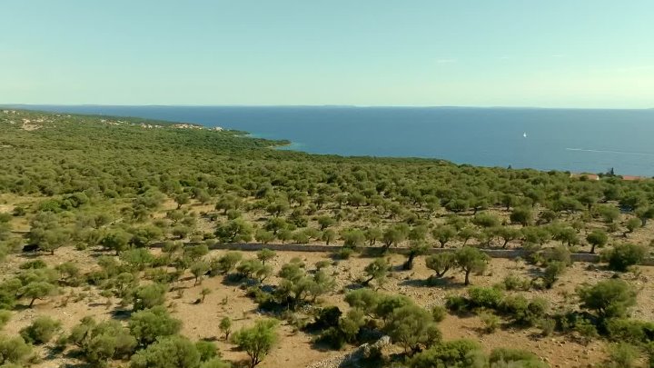 ⁣Skriveno u raju S01E18