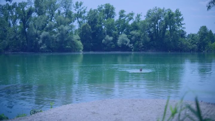 ⁣Sjene proslosti S01E24