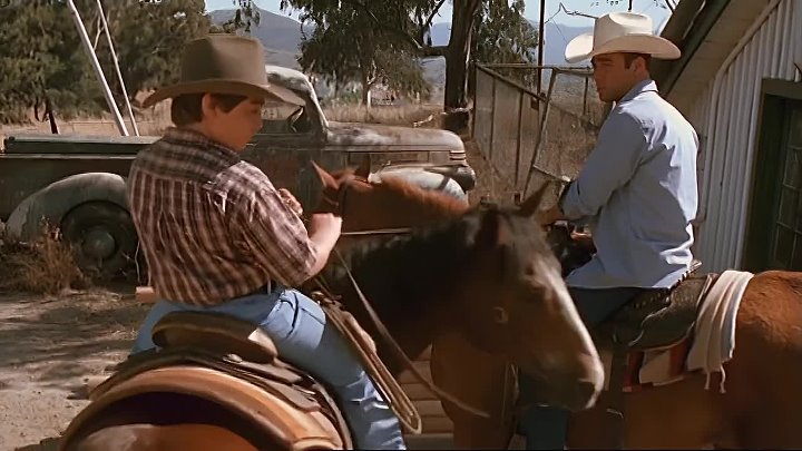 ⁣Horse Sense (1999) (720p)🌻 Animation & Family Movies