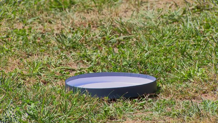 ⁣Zivot na vagi S08E33