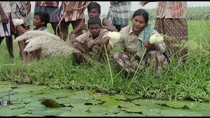 ⁣Vaazhai (2024) (480p) +subtitle