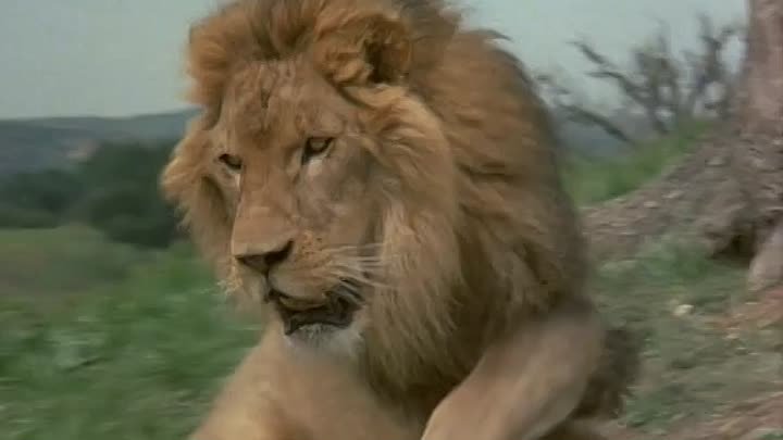 ⁣The Fall Guy S01E21 The Silent Partner