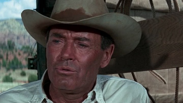 ⁣The Rounders (1965) (720p)🌻 Movies