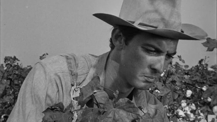 ⁣The Southerner (1945) (1080p)🌻 Black & White Films