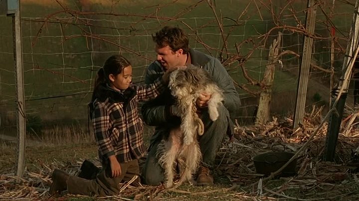 ⁣All The Real Girls (2003) (720p)🌻 Movies