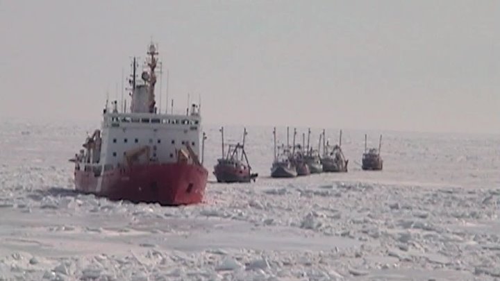 ⁣Confessions Of An Eco-Terrorist (2010) Documentary (720p)