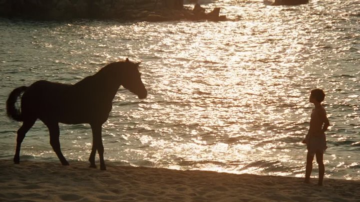 ⁣The Black Stallion (1979) (1080p)🌻 Movies