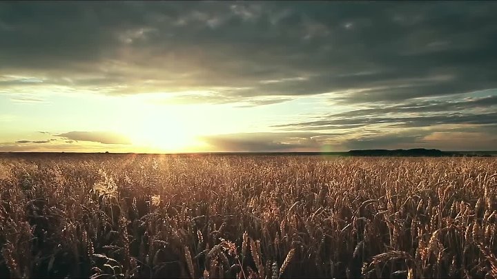⁣Farmlands (2018) (1080p)