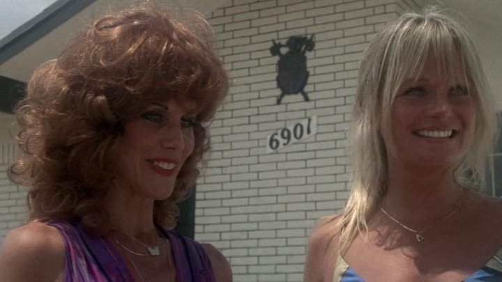 ⁣The Border (1982) (1080p)🌻 Movies