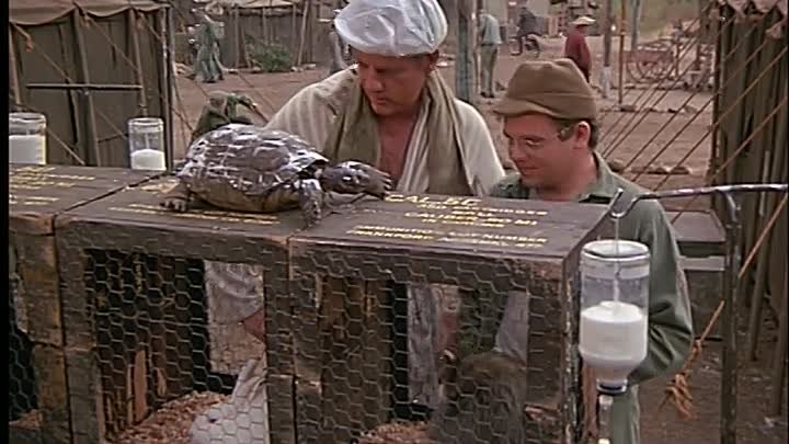 ⁣M*A*S*H S3 E13 ∙ Mad Dogs and Servicemen