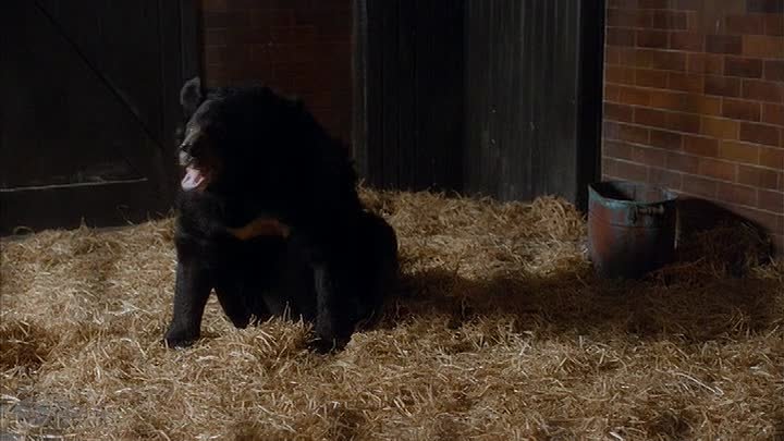 ⁣Our Zoo Episode 5