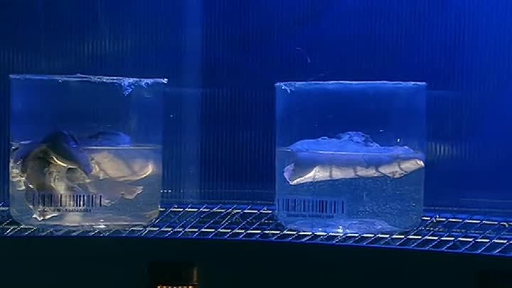 ⁣Earth Final Conflict S04E03 Sins of the Father