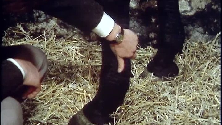 ⁣All Creatures Great and Small S03E09 - Brink of Disaster