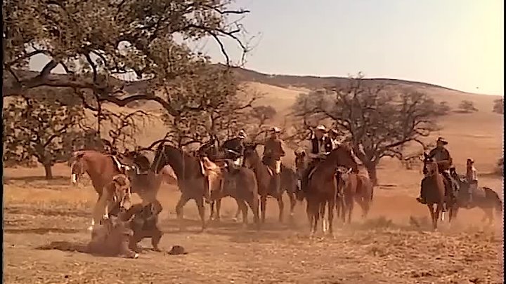 ⁣The Big Valley [S01E19] Teacher of Outlaws