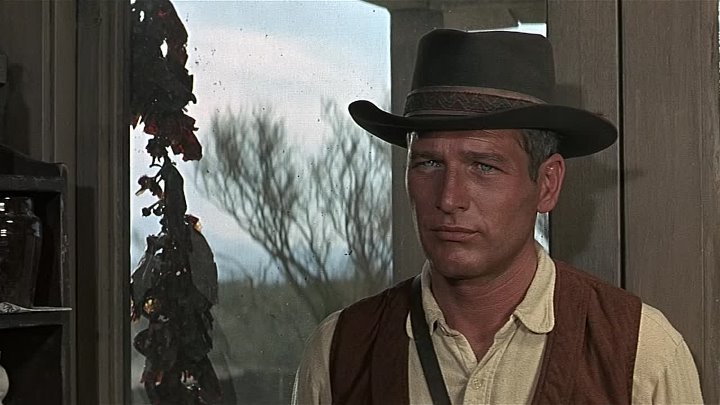 ⁣Hombre (1967) (720p)🌻 Movies