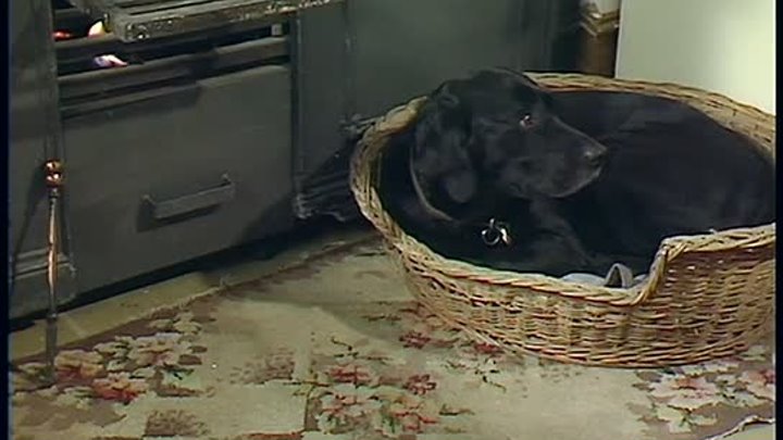 ⁣All Creatures Great and Small S05E03 - Choose a Bright Morning