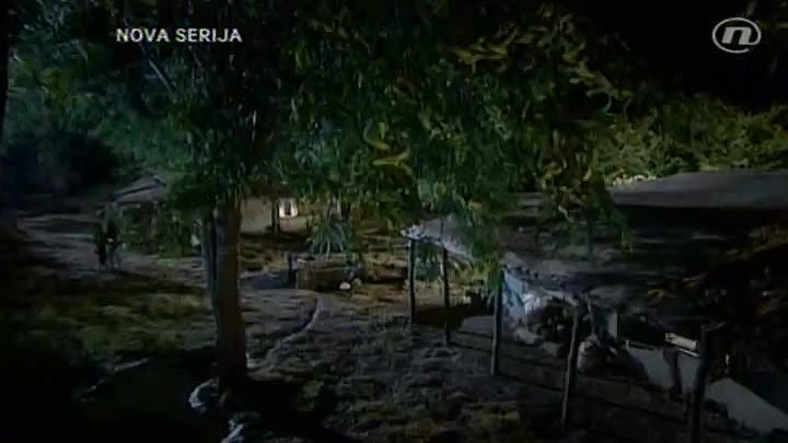 Nasljeđe jedne dame 1