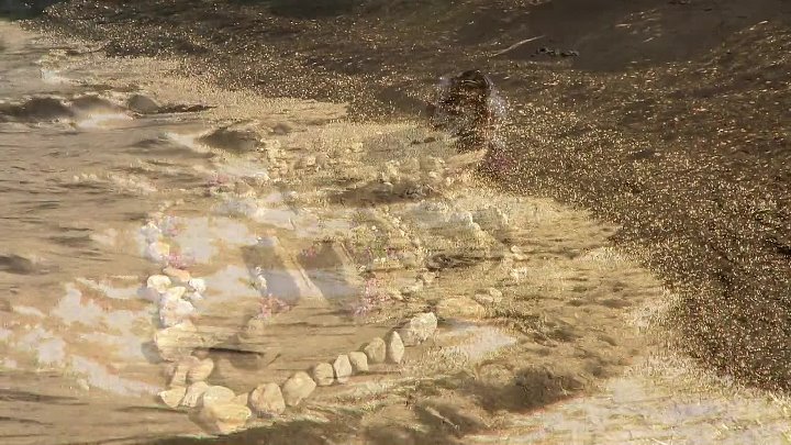 U_ime_časti_epizoda_129