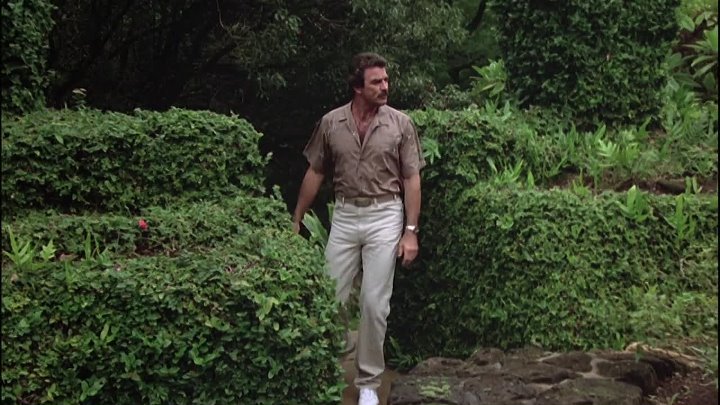 ⁣Magnum P I S8 E5 Forever in Time