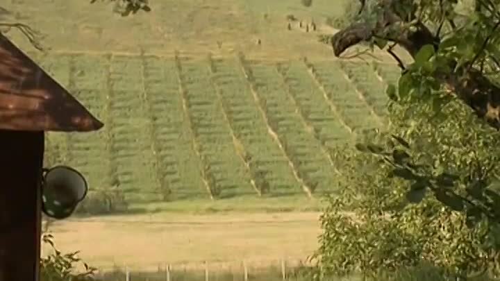 ⁣Greh njene majke (2009) Epizoda 02