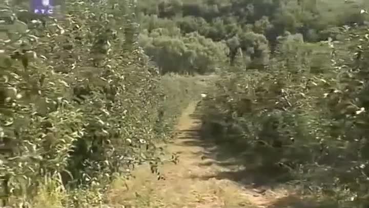 ⁣Greh njene majke (2009) Epizoda 16