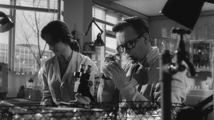 ⁣Suspect (1960) (1080p)🌻 Black & White Films