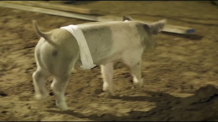 ⁣Upstream Color 2013 1080p BluRay x264-OFT